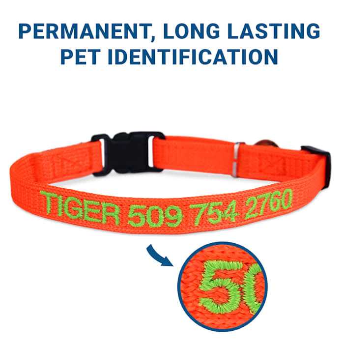 Nylon Personalized Breakaway Cat Collar with Bell J155641