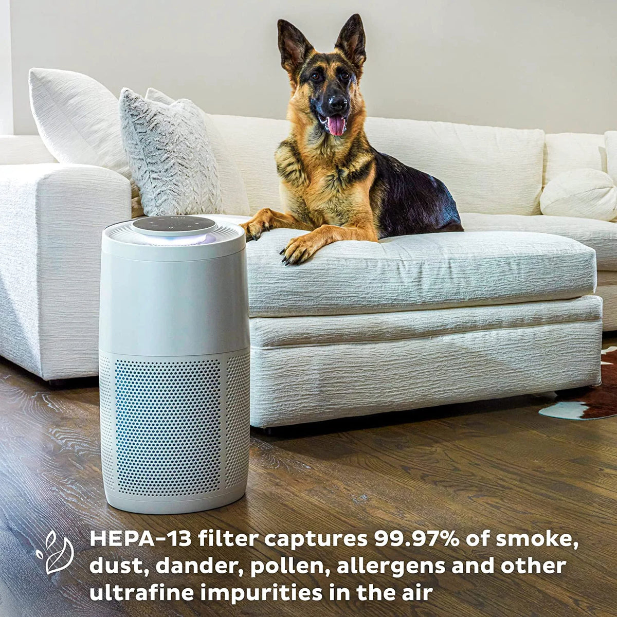 Quiet HEPA Air Purifier with Plasma Ion Technology for Rooms up to 630ft2 Q169153