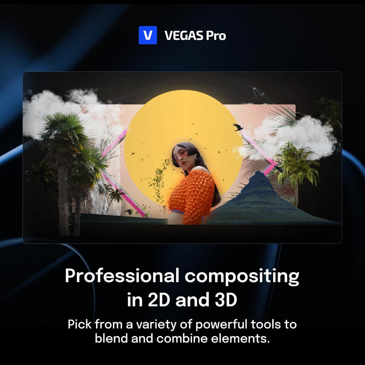 VEGAS Pro Suite 22 video editing software C642