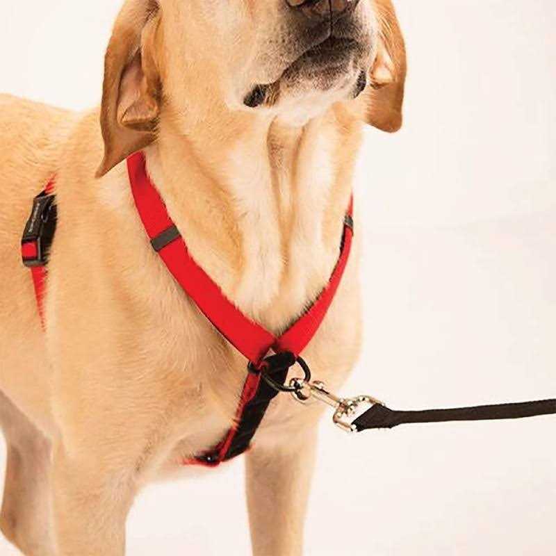 Ultimate Control Harness A73697