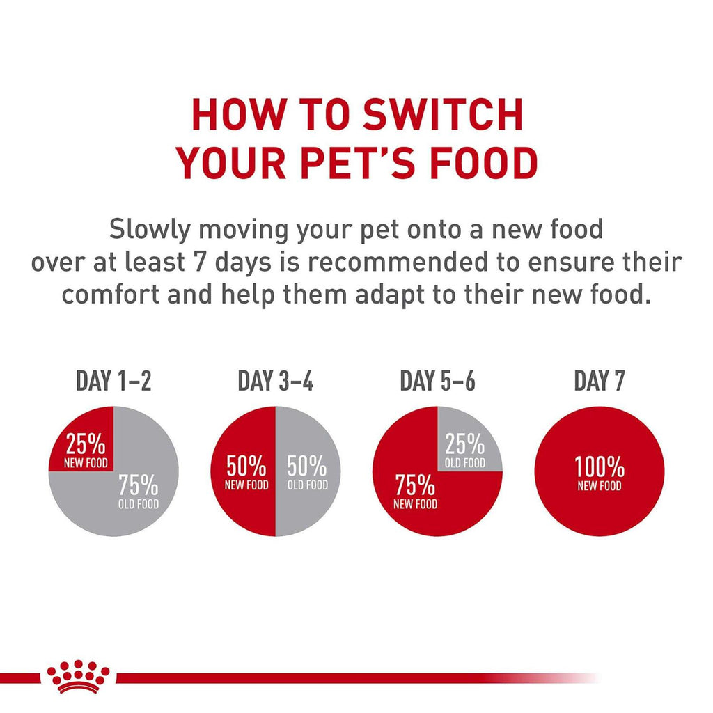 Canned Cat Food P981
