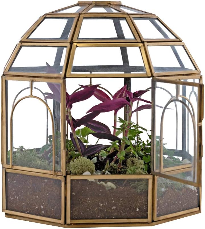 Large Glass Terrarium 10 x 9 x 9 Brass X88137