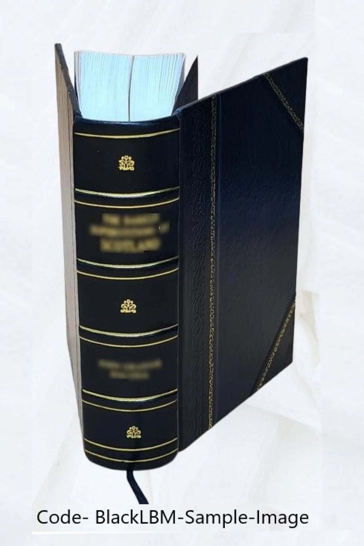 Leather Bound S15040