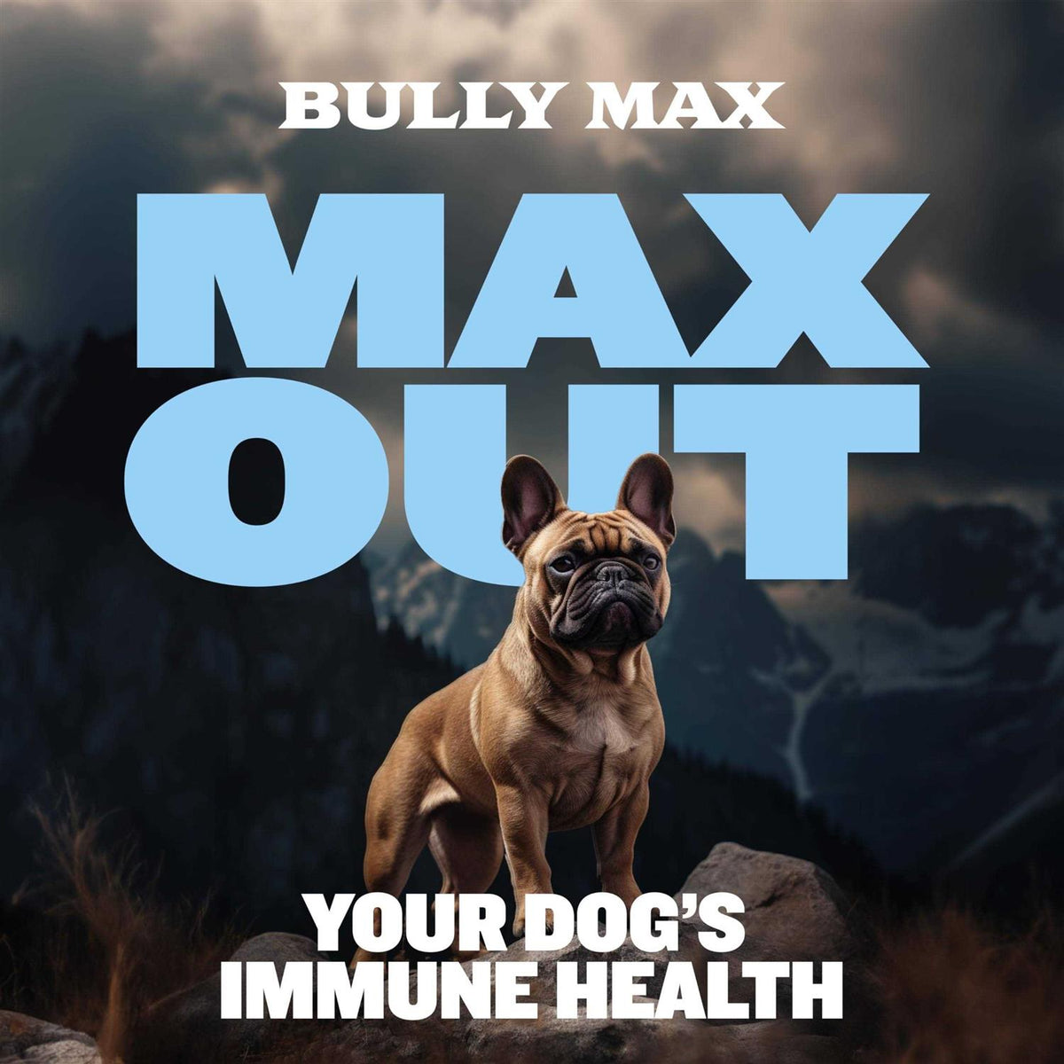 Small Breed Immune Support Tabs W98969