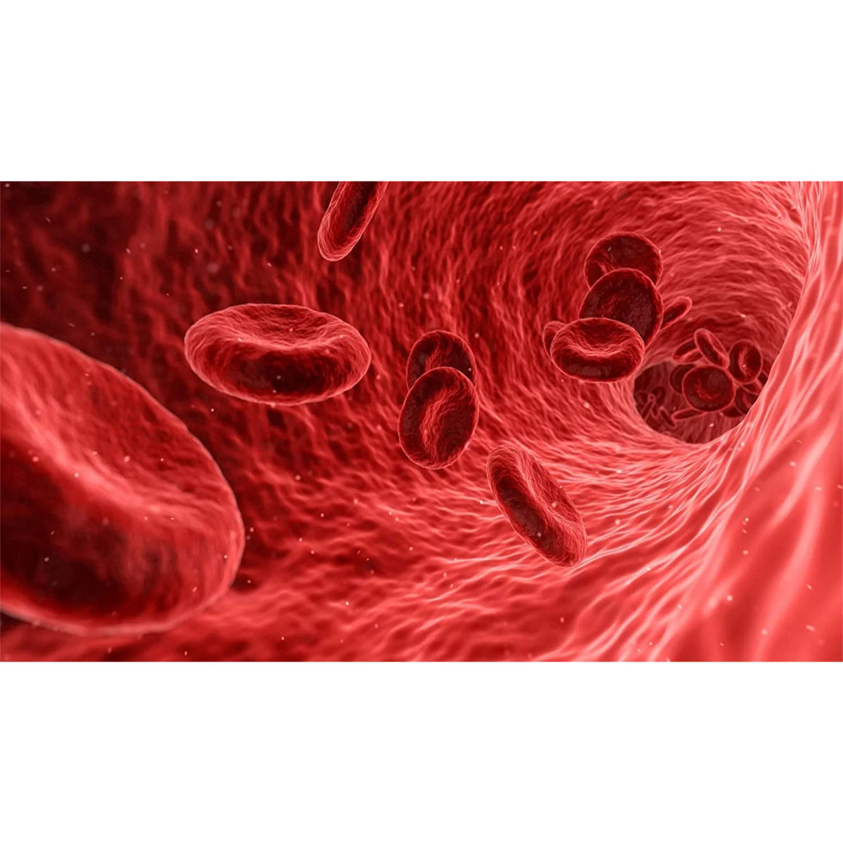 Nitric Oxide Booster C8133