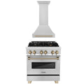 30 In. Dual Fuel Range and Range Hood in Stainless Steel V4789