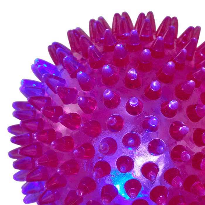 Spiny Ball Dog Chew Toy Y520