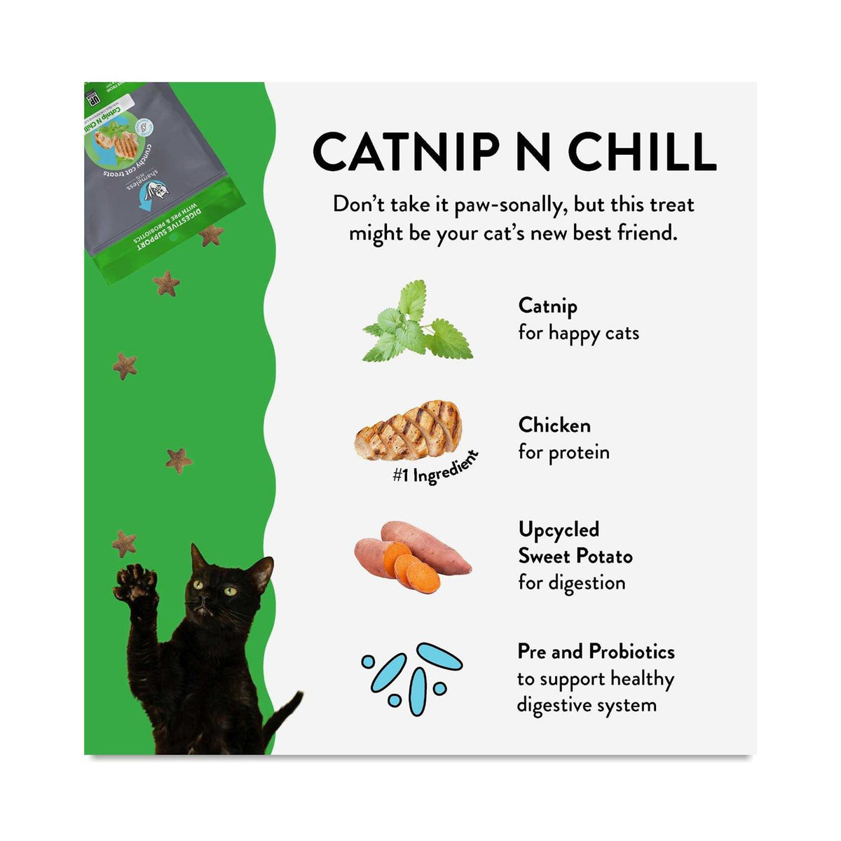 Crunchy Cat Treats U356