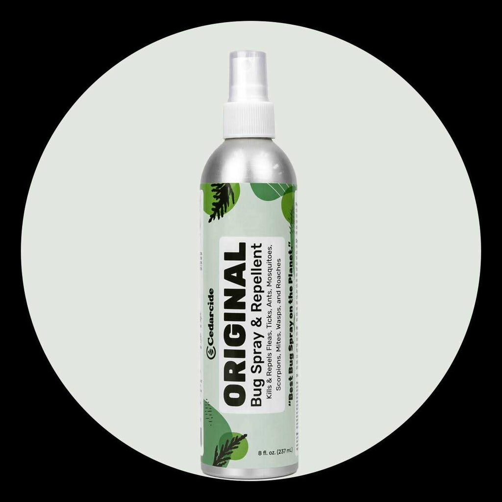 Bug Spray & Repellent O482215