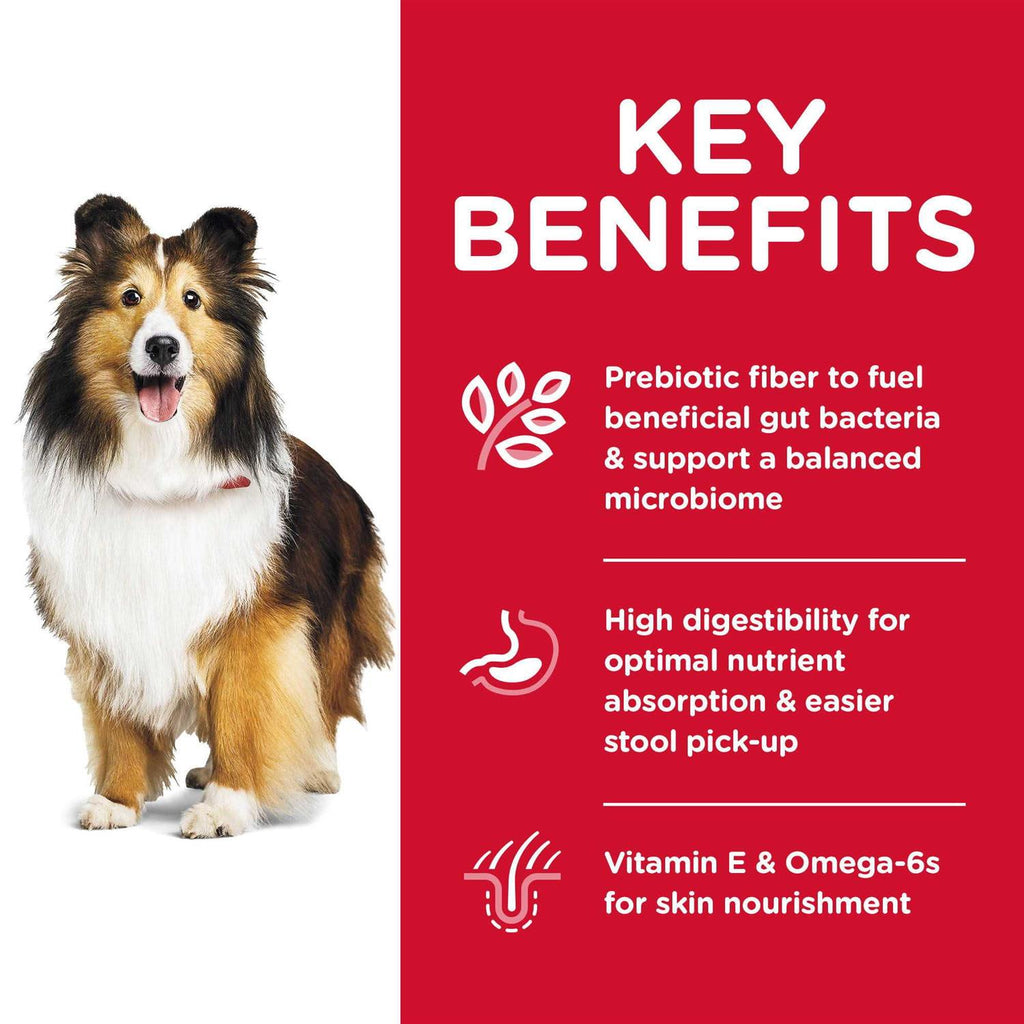 Sensitive Stomach & Skin Dry Dog Food K719