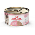 Canned Cat Food P981