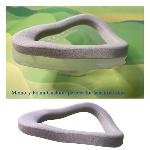 2 Count Large Memory Foam Replacement Cushion X2560