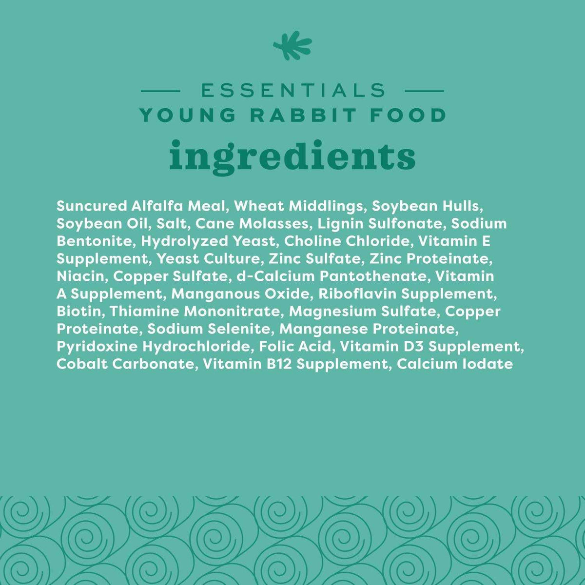 Rabbit Food X5378