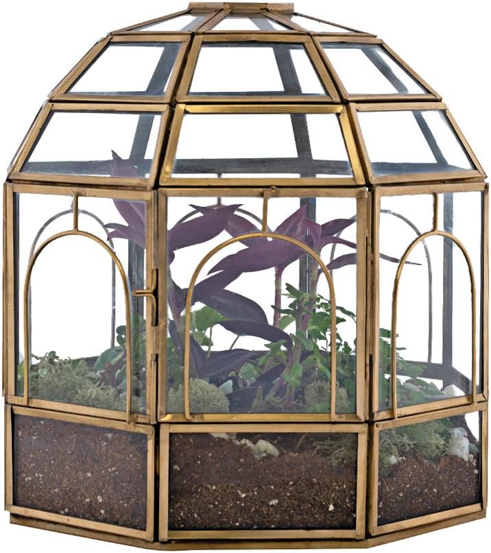 Large Glass Terrarium 10 x 9 x 9 Brass X88137