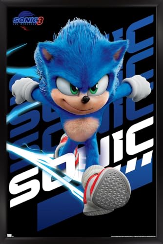Sonic Wall Poster L38277