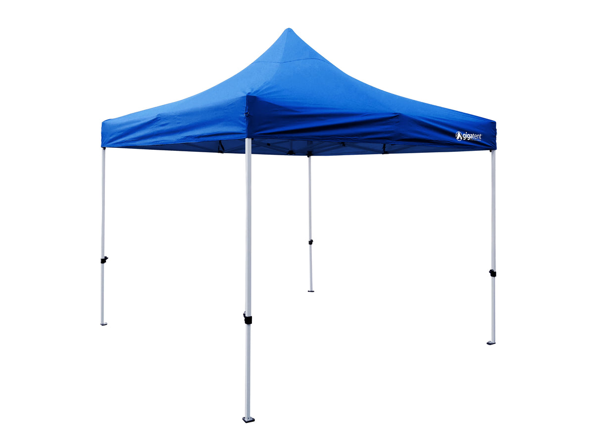 10' x 10' Canopy C7414