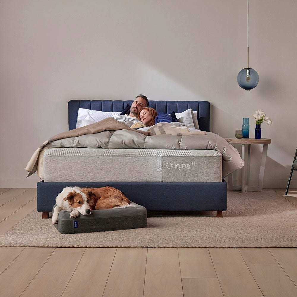 Dog Bed W96106