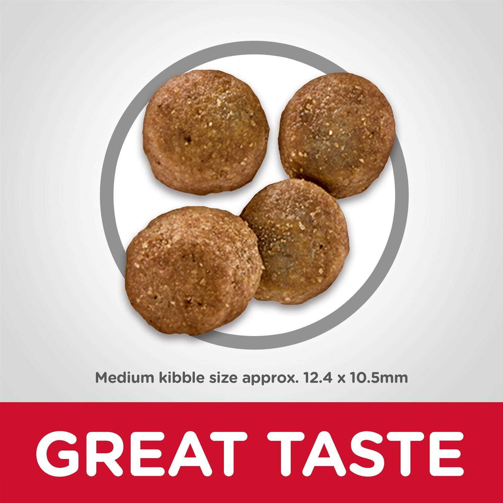 Sensitive Stomach & Skin Dry Dog Food K719