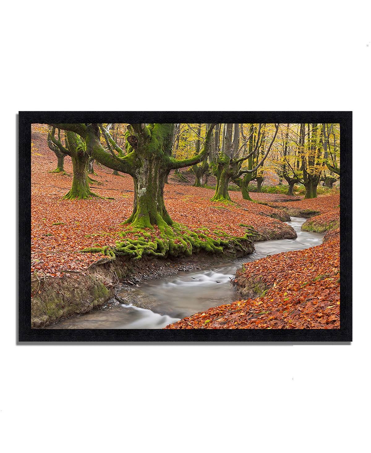 Beech Framed Photograph Print N776983
