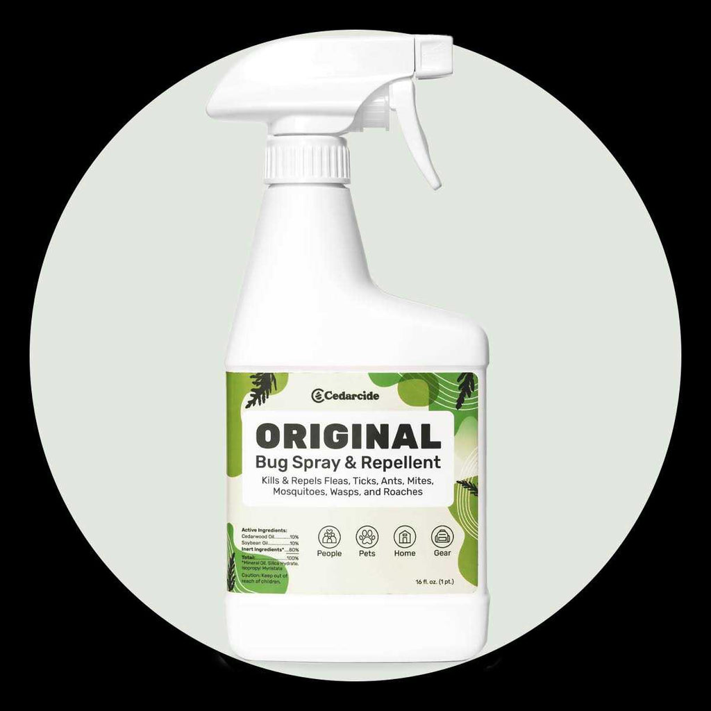 Bug Spray & Repellent O482215