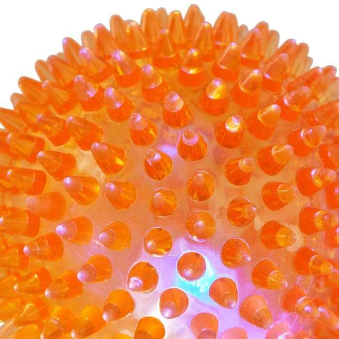 Spiny Ball Dog Chew Toy Y520