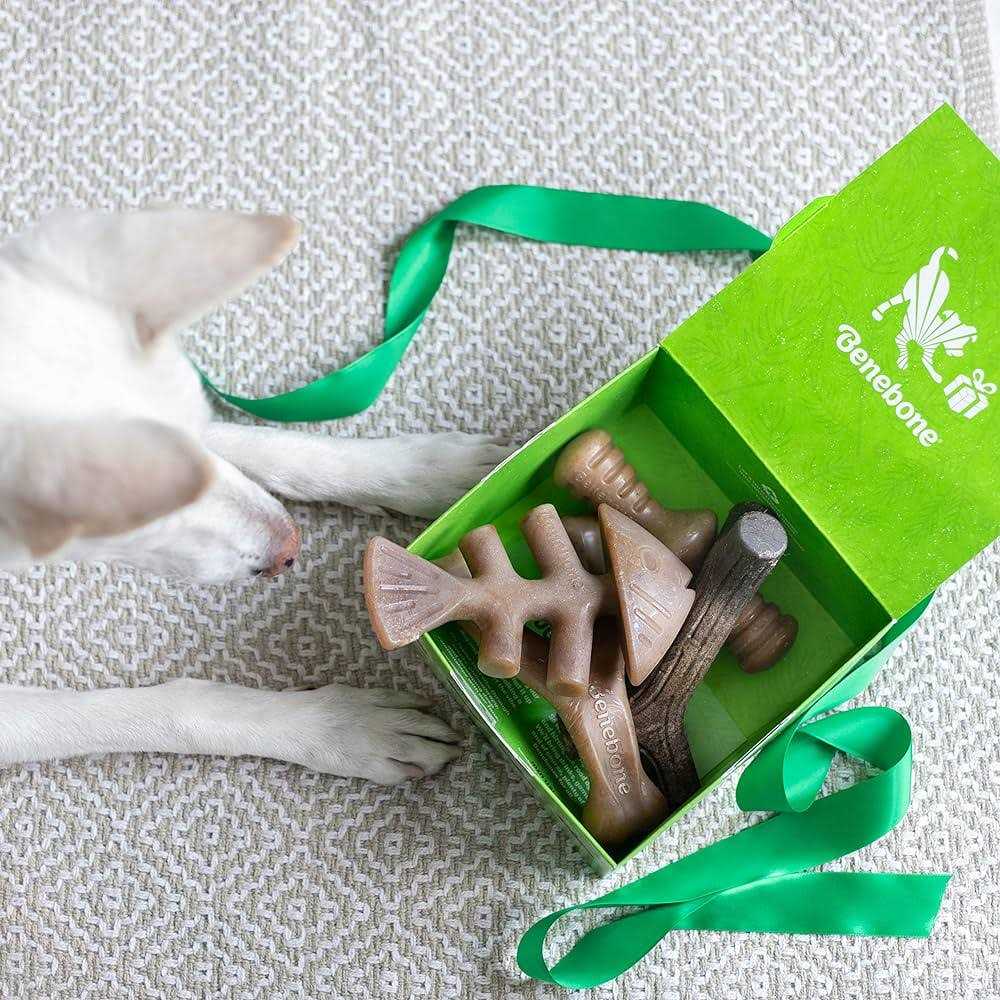 Dog Chew Toy 4 Pack F973210