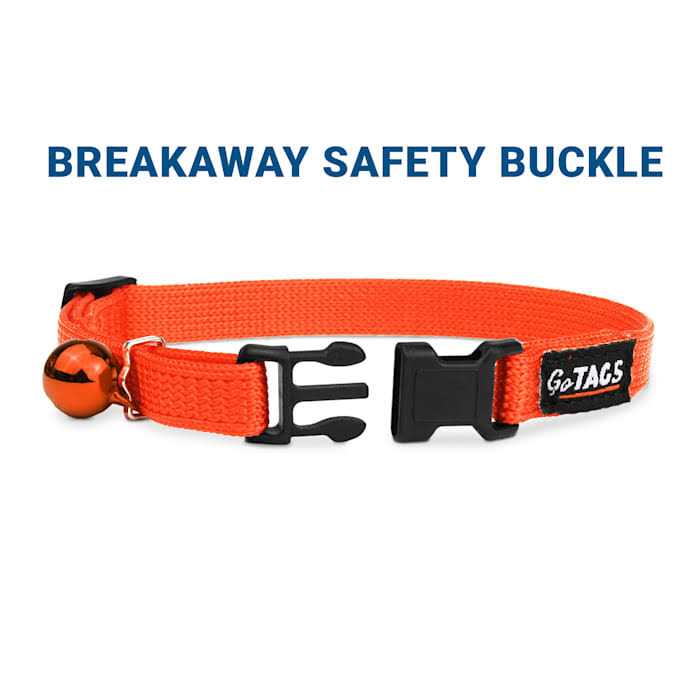 Nylon Personalized Breakaway Cat Collar with Bell J155641