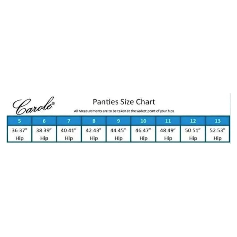 Women's Nylon Full Cut Briefs 3-Pack L257