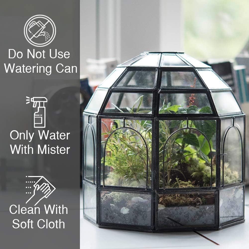 Large Glass Terrarium 10 x 9 x 9 Brass X88137