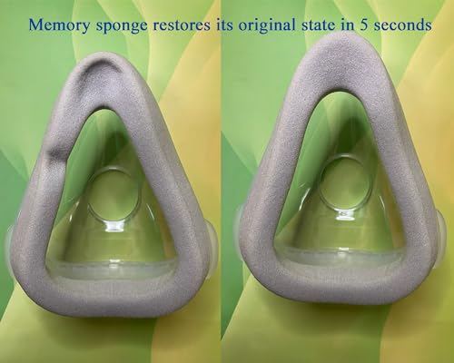 2 Count Large Memory Foam Replacement Cushion X2560