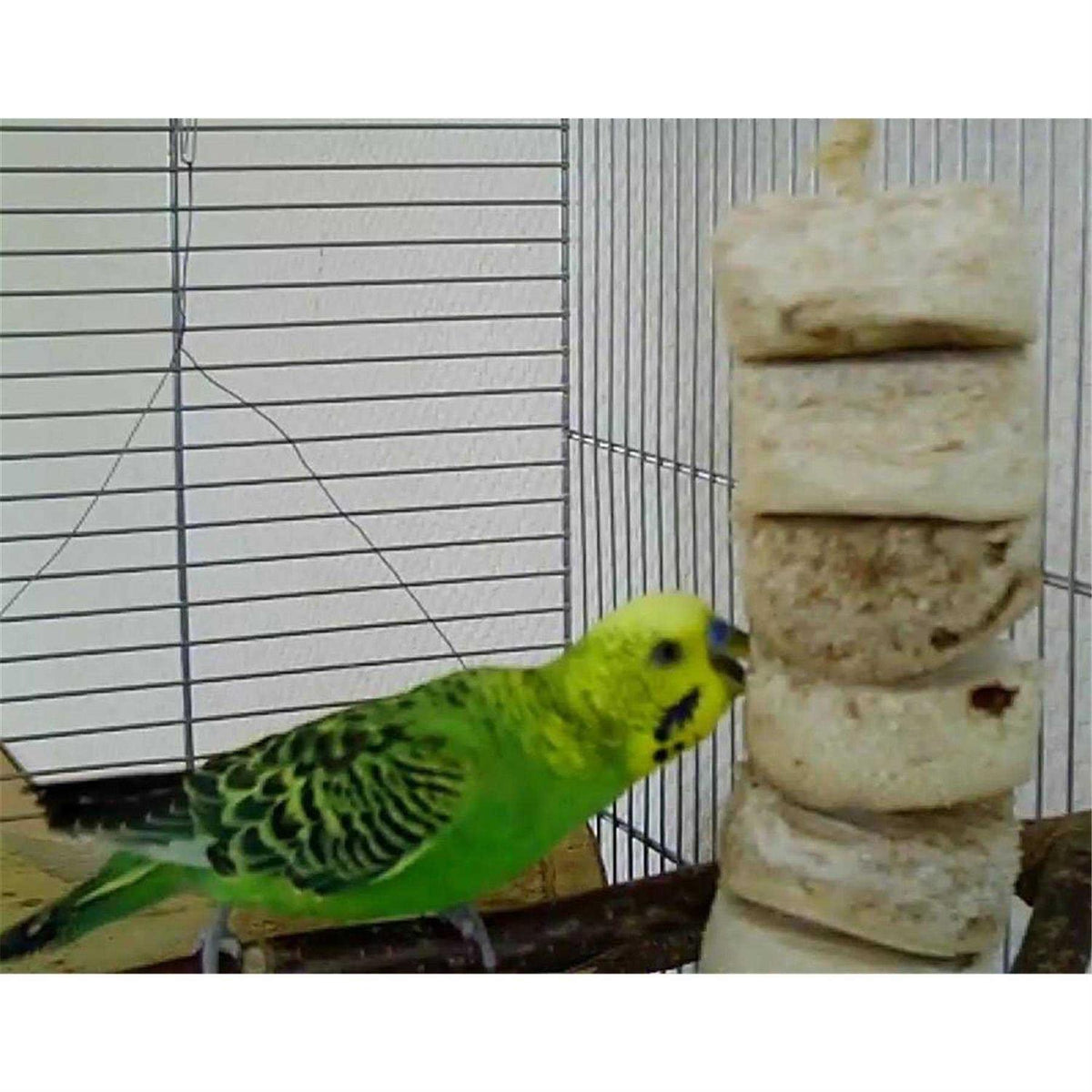 Bird Kabob Toy J226246