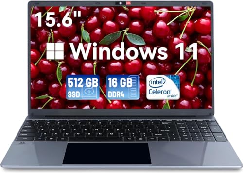 15.6" Laptop Computer with 16GB DDR4 512GB SSD and 1080P Full HD Display D697054