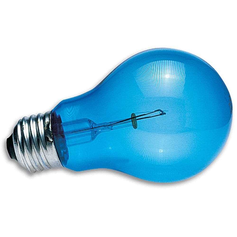 Daylight Blue Reptile Bulb W36771