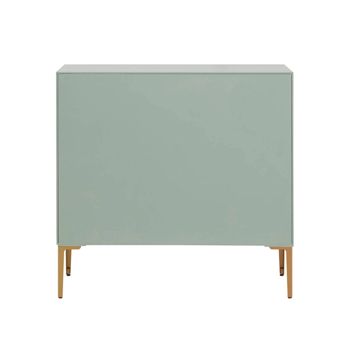 Mint 2-Door Accent Cabinet A939
