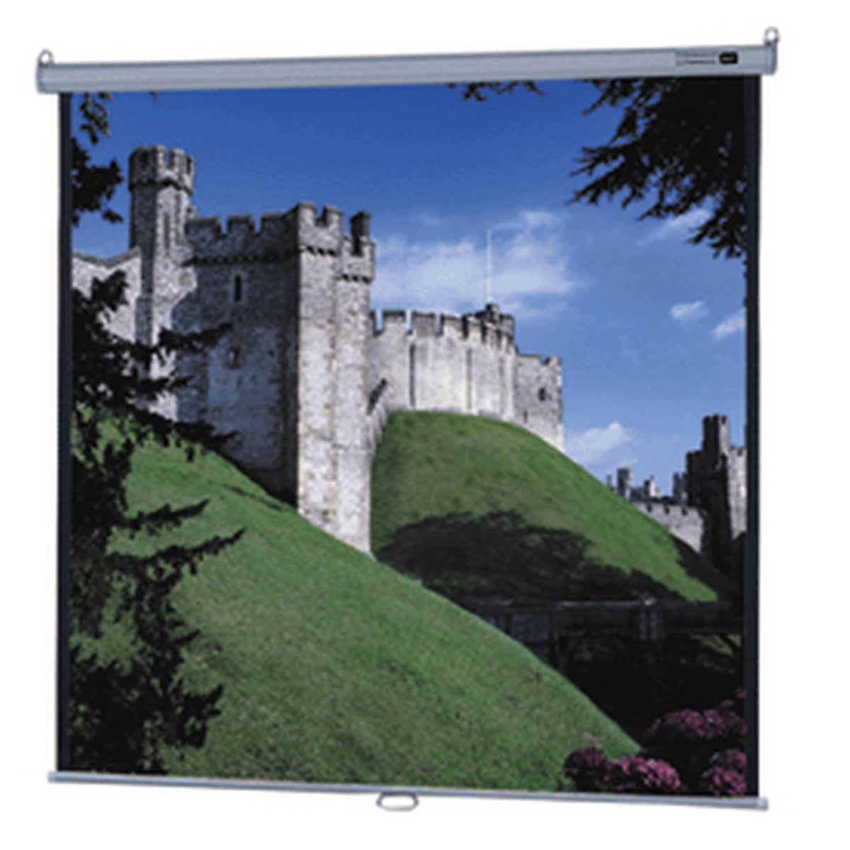 16:10 Wide Format Projection Screen S605