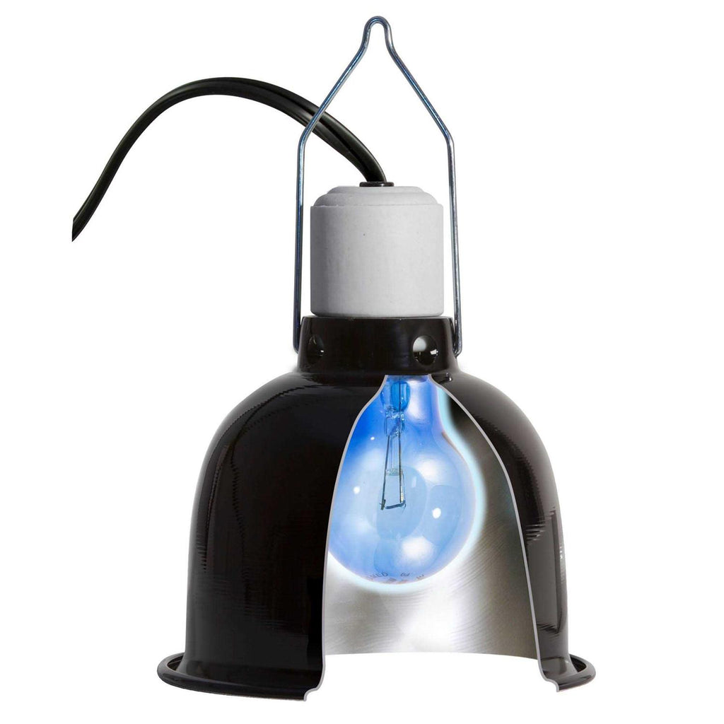 Daylight Blue Reptile Bulb W36771