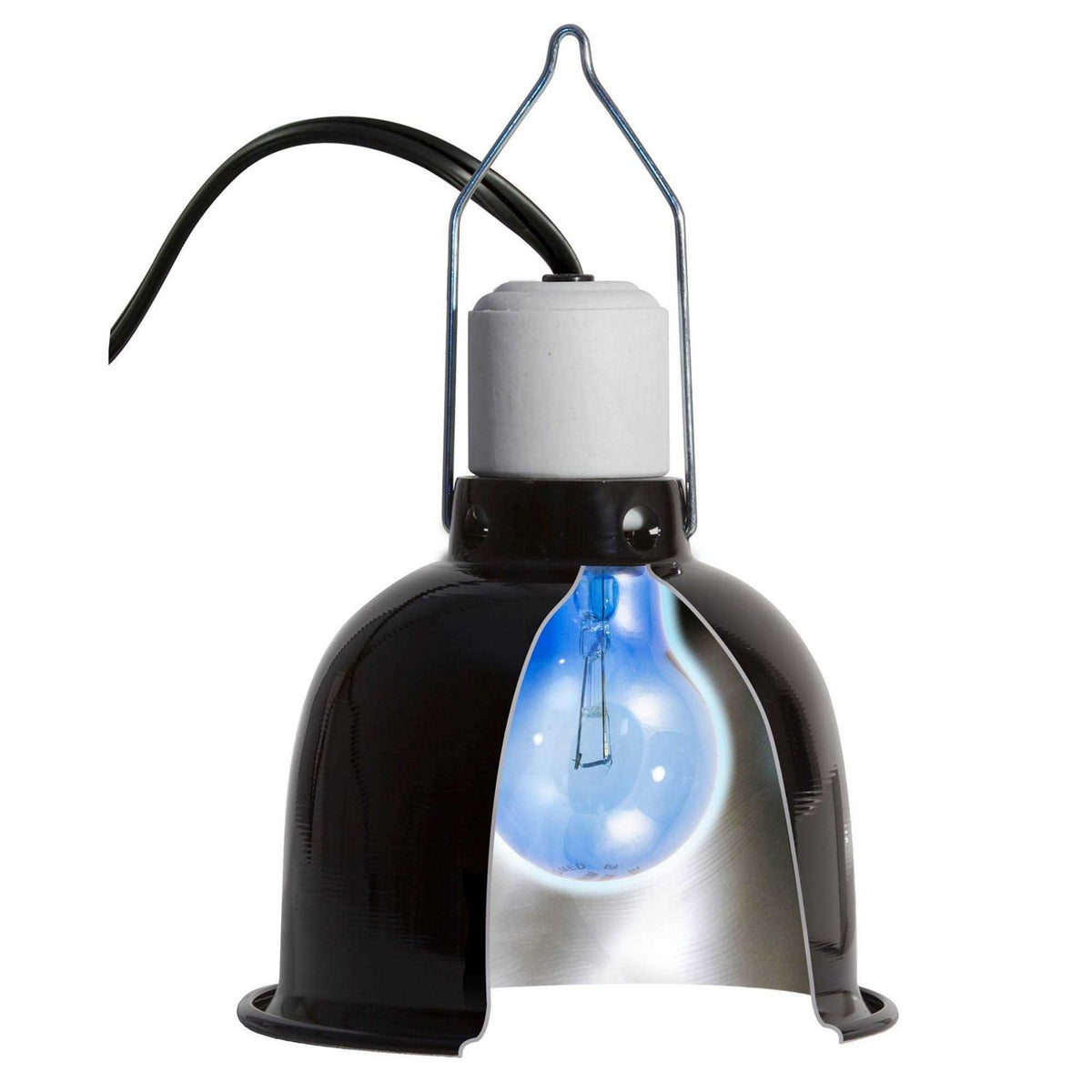 Daylight Blue Reptile Bulb W36771