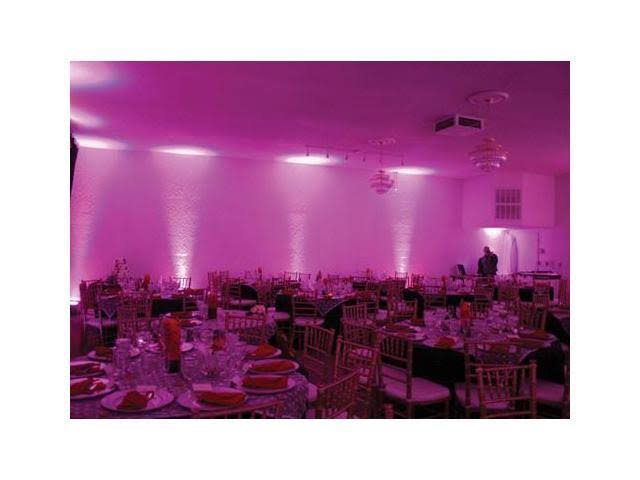 Mega Flat Pak 8 LED Par Light System N39165