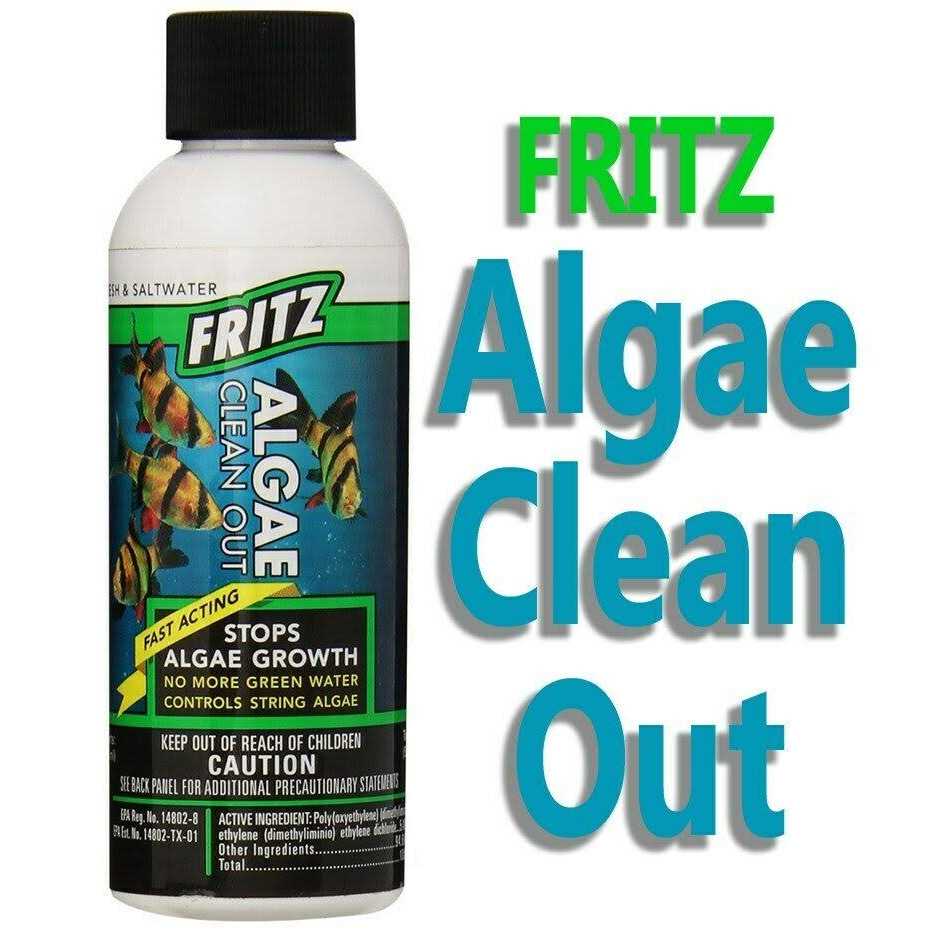 Algae Clean Out B96559