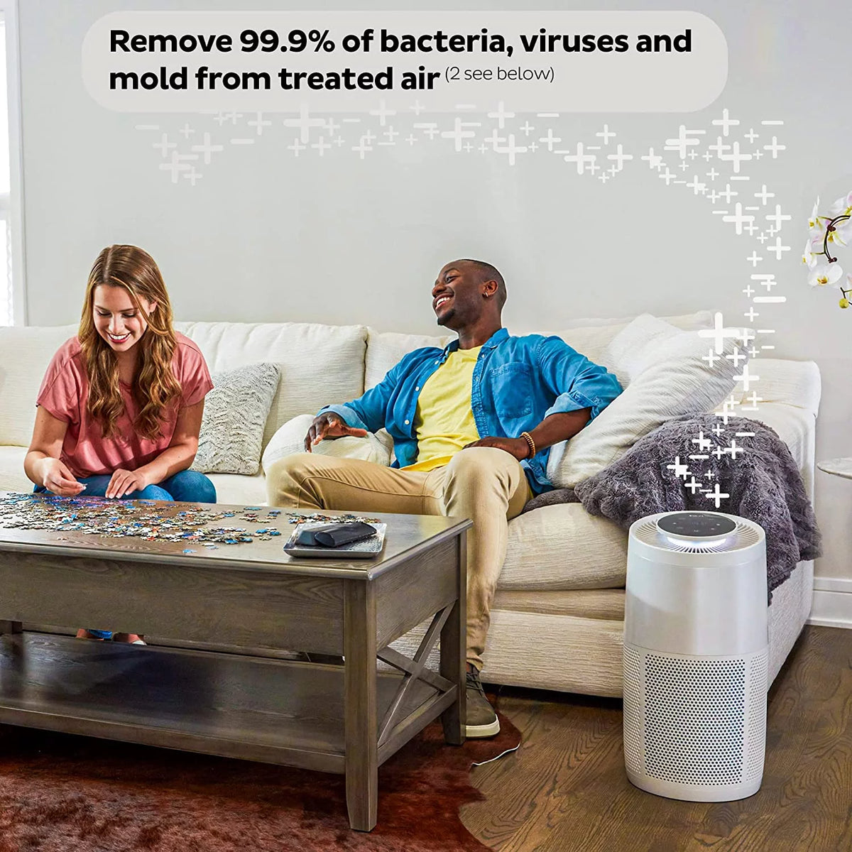 Quiet HEPA Air Purifier with Plasma Ion Technology for Rooms up to 630ft2 Q169153