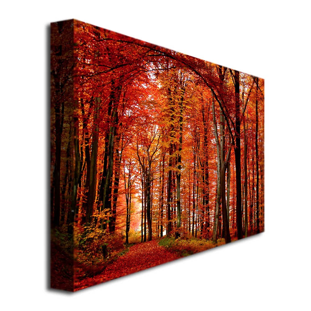 Canvas Art A48547