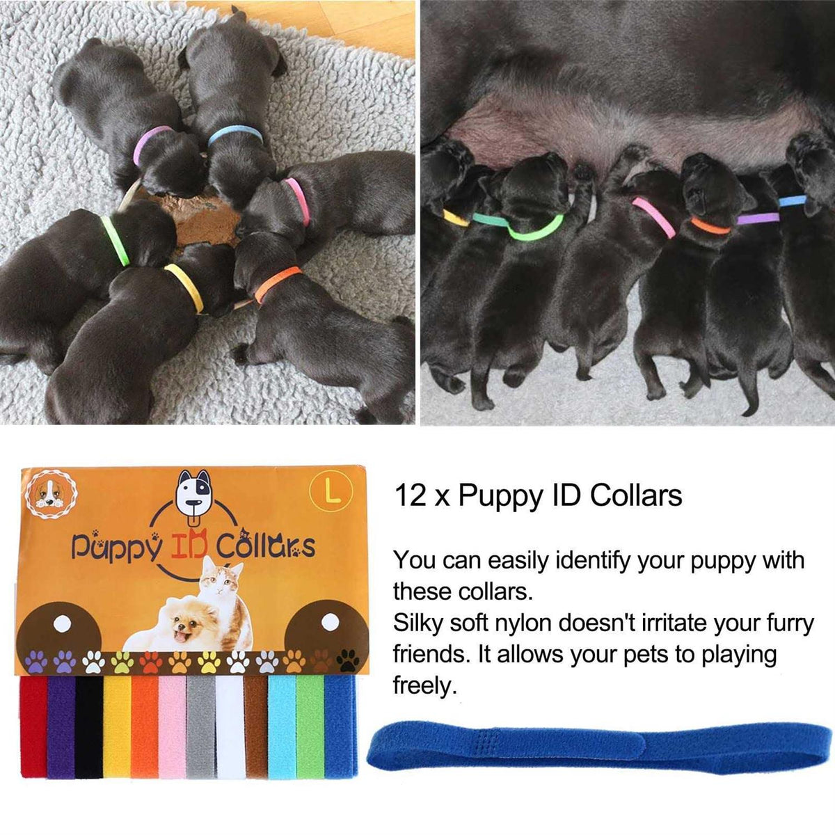 Whelping Kit with 12pcs Whelping Collars W99133
