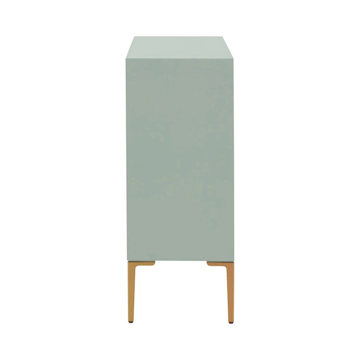 Mint 2-Door Accent Cabinet A939