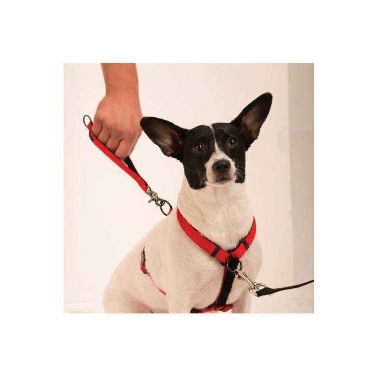 Ultimate Control Harness A73697