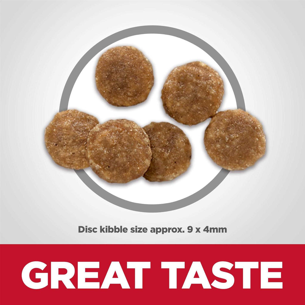 Chicken Dry Cat Food B68091