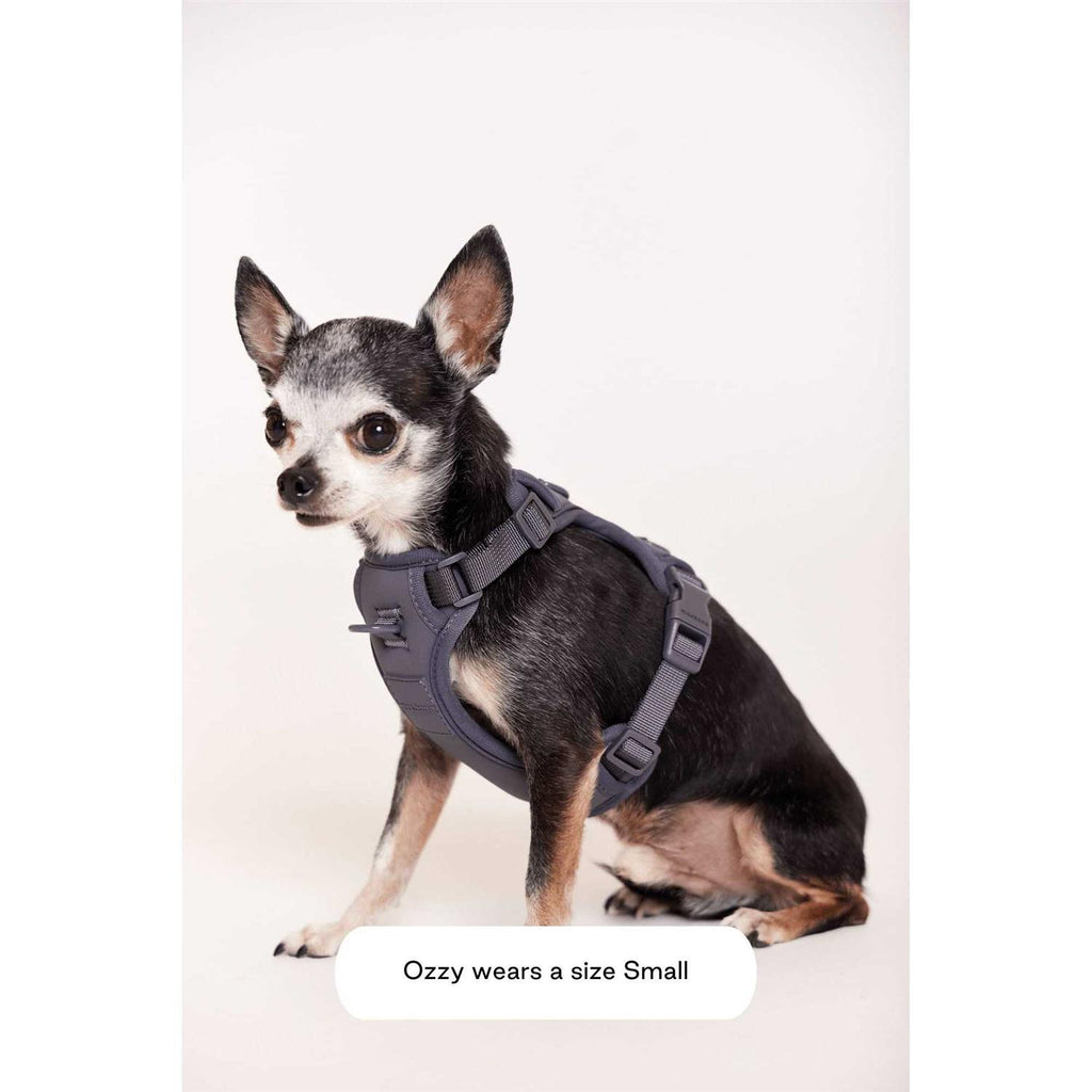 Double Panel Harness S62511