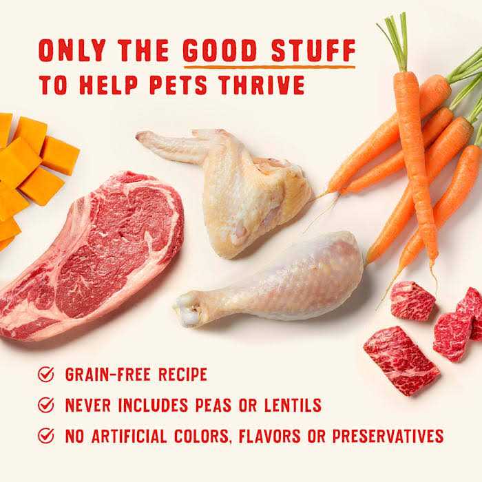 High Protein Chicken Stew Wet Dog Food W310