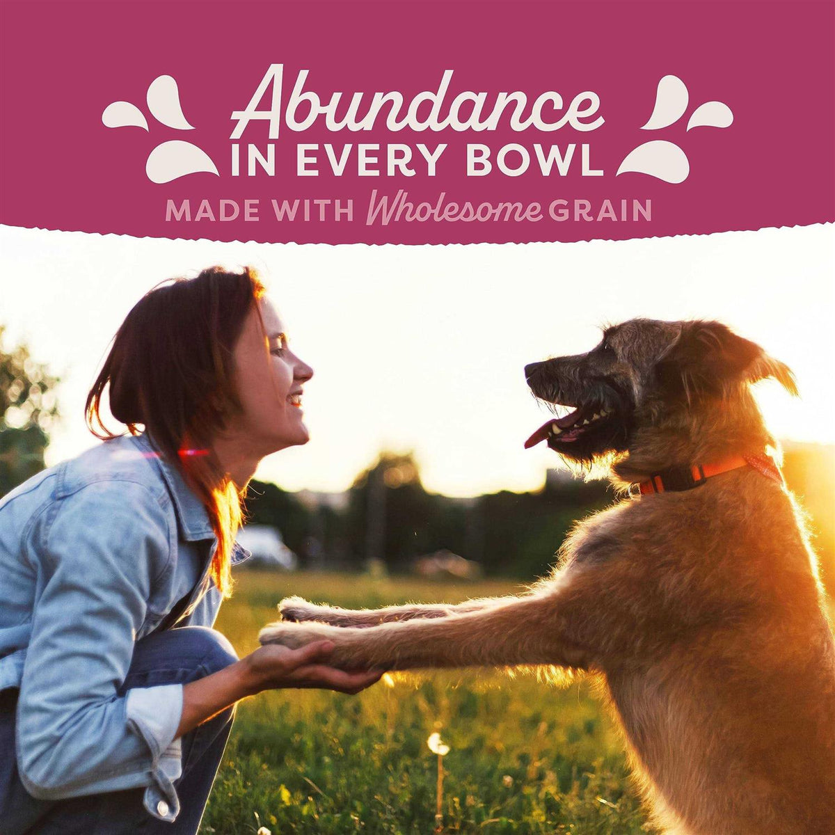 Chicken Dog Food C469988