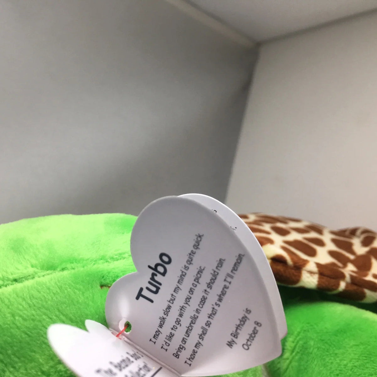 Green Turtle Plush Toy L927852