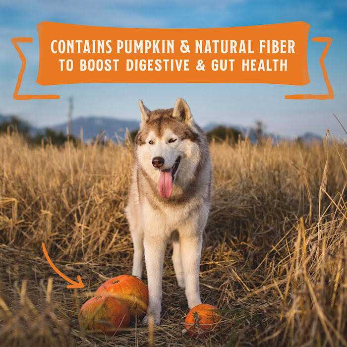 High Protein Chicken Stew Wet Dog Food W310